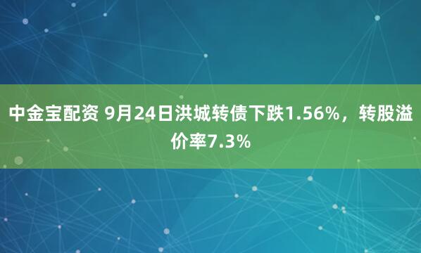 中金宝配资 9月24日洪城转债下跌1.56%，转股溢价率7.3%