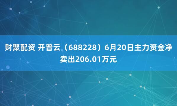 财聚配资 开普云（688228）6月20日主力资金净卖出206.01万元
